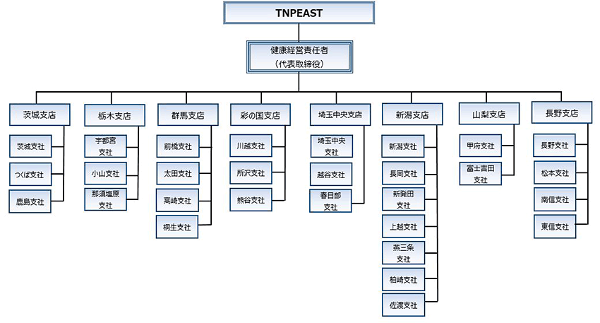 「TNPEAST」を頂点としてその下に健康経営責任者（代表取締役）あり、その下に茨城支店（茨城支社・つくば支社・鹿島支社）、栃木支店（宇都宮支社・小山支社・那須塩原支社）、群馬支店（前橋支社・太田支社・高崎支社・桐生支社）、彩の国支店（川越支社・所沢支社・熊谷支社）、埼玉中央支店（埼玉中央支社・越谷支社・春日部支社）、新潟支店（新潟支社・長岡支社・新発田支社・上越支社・燕三条支社・柏崎支社・佐渡支社）、山梨支店（甲府支社・富士吉田支社）、長野支店（長野支社・松本支社・南信支社・東信支社）があります。